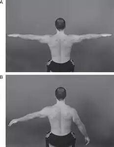 怎么评估病人肌力“肩 髋 膝 踝” 4大关节体格检查，干货速取！_https://www.jmylbn.com_新闻资讯_第3张