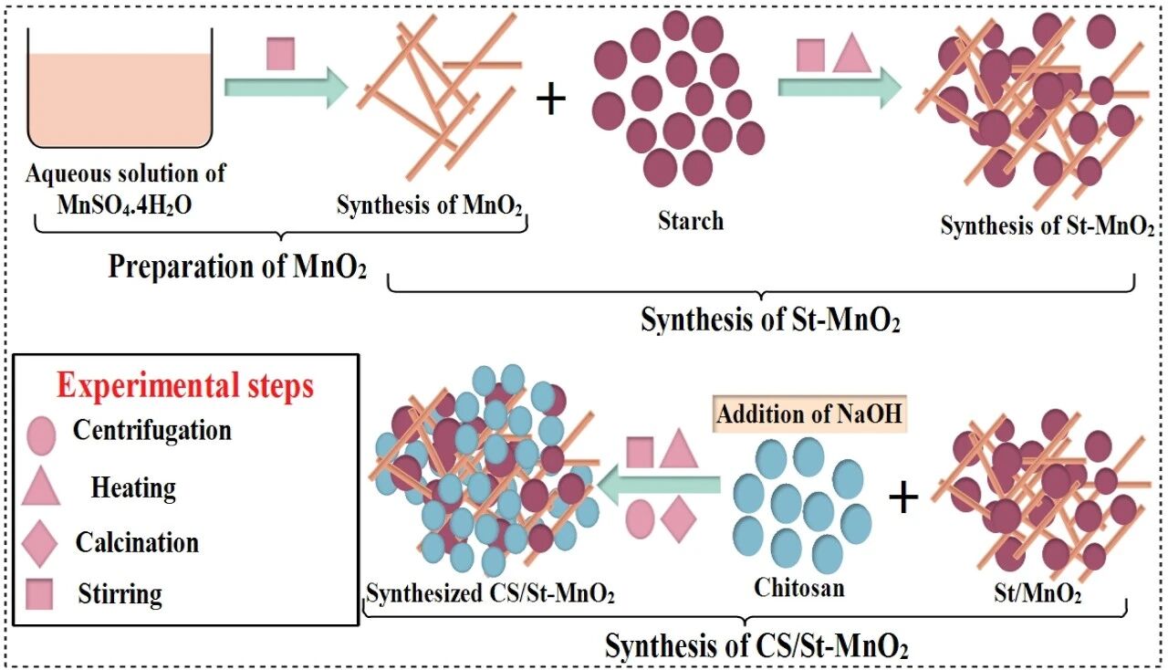 Materials Today Nano 弗吉尼亚大学：壳聚糖/淀粉掺杂二氧化锰用于染料降解、细菌活性和硅分子对接研究(聚合,面积) AI牛丝
