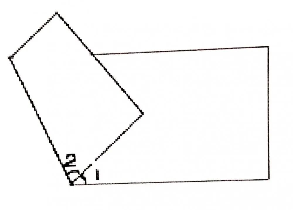 【第869期】折角探究乐趣多——银杏娃的数学实验室