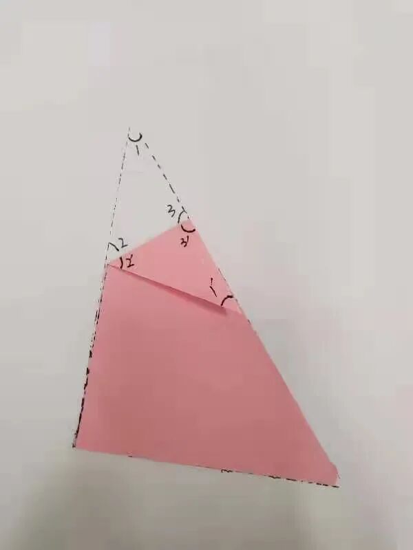 【第869期】折角探究乐趣多——银杏娃的数学实验室