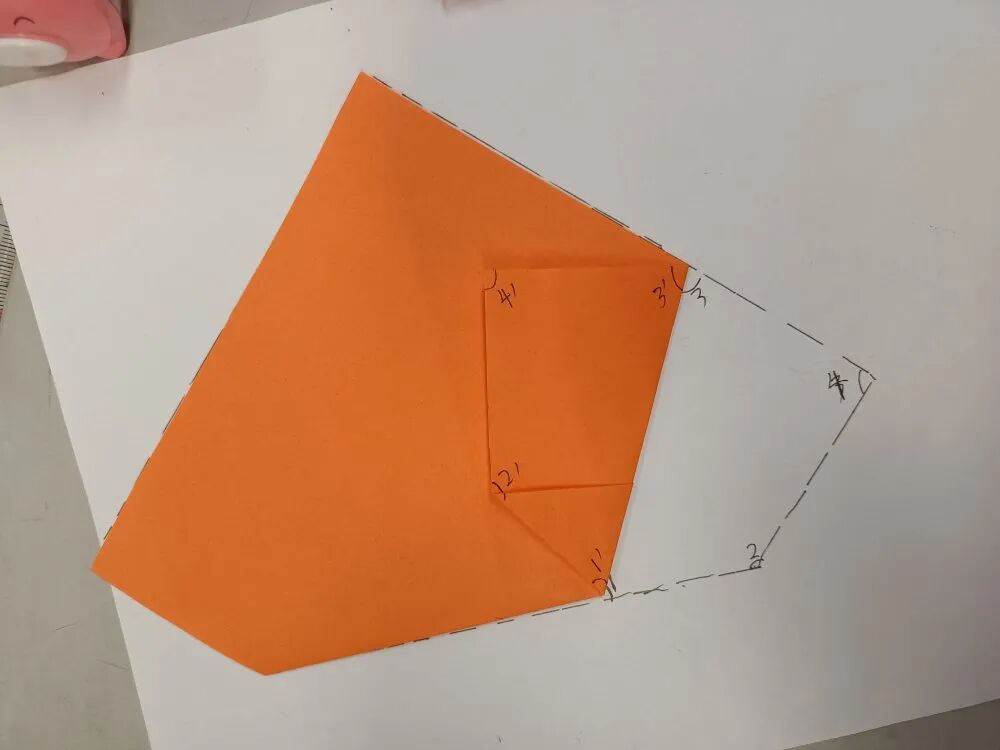 【第869期】折角探究乐趣多——银杏娃的数学实验室