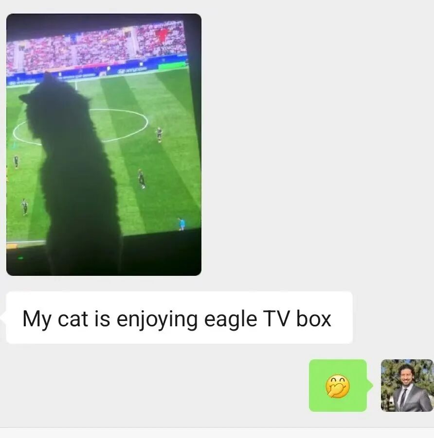 Eagle TV Box 1-Day Free Trial - Expats & Families, Limited Time