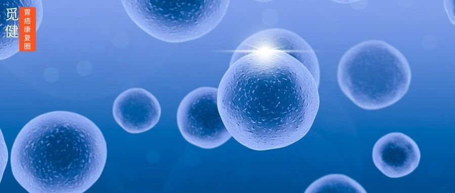 又一猛将！CAR-T疗法获批，治疗效果数据惊艳