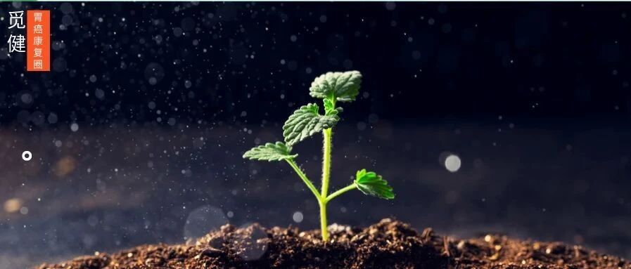 干货！一文理清胃癌晚期患者如何提高生存质量