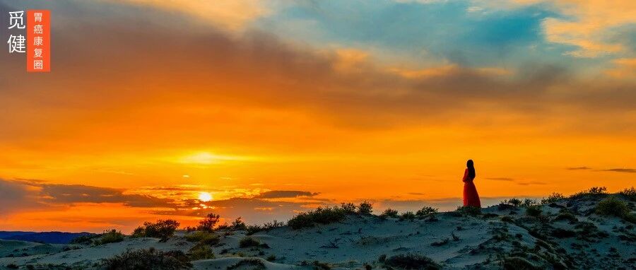 从“死亡宣判”到“周游全国”，我成为生命的追光者