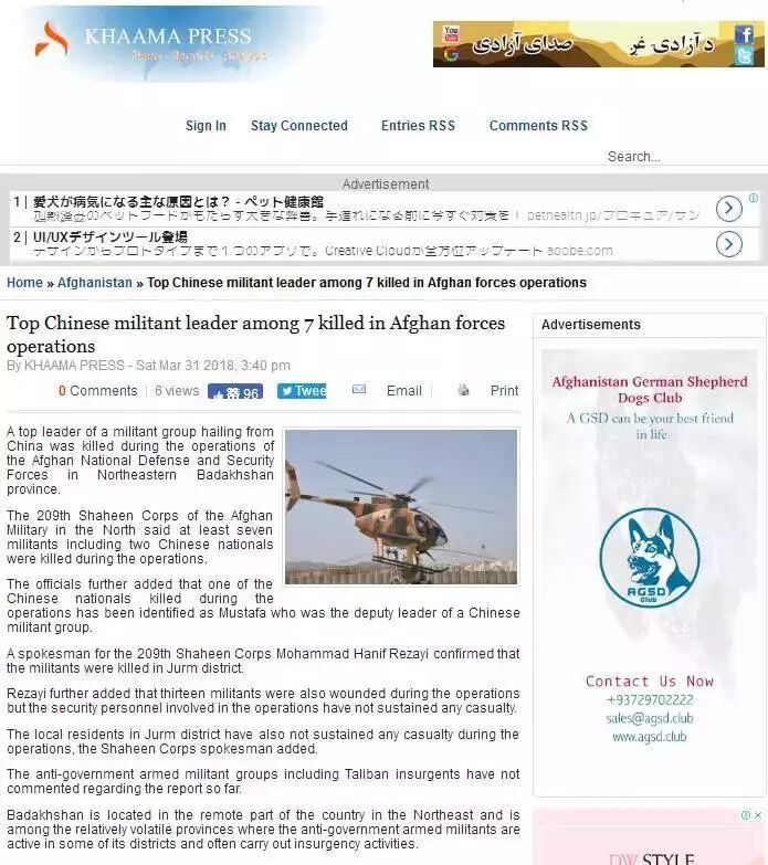 政商经讯 自由微信 Freewechat
