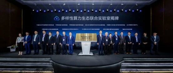 多样性算力发展挑战重重，如何破局?