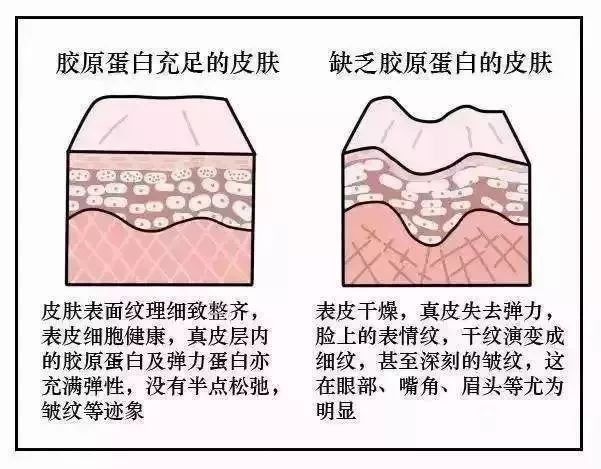 同仁堂鱼胶原肽粉作用_鱼胶原蛋白肽_鱼胶原蛋白粉和蛋白肽