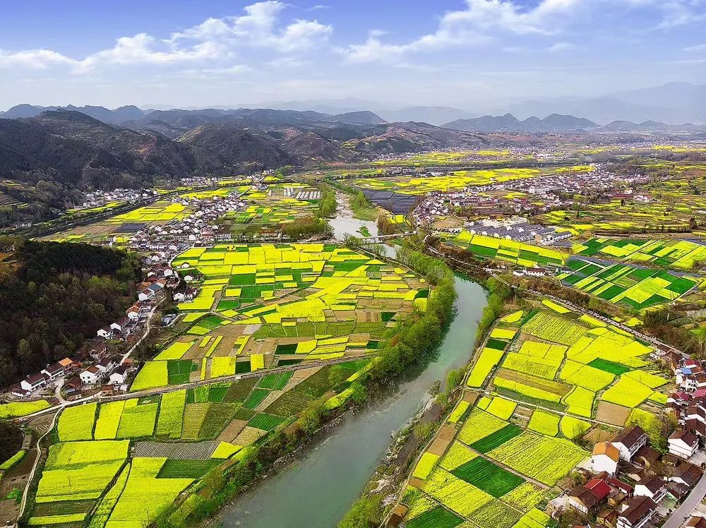 汉中油菜花海线路攻略！看完直呼：世界那么大，我要去看看！