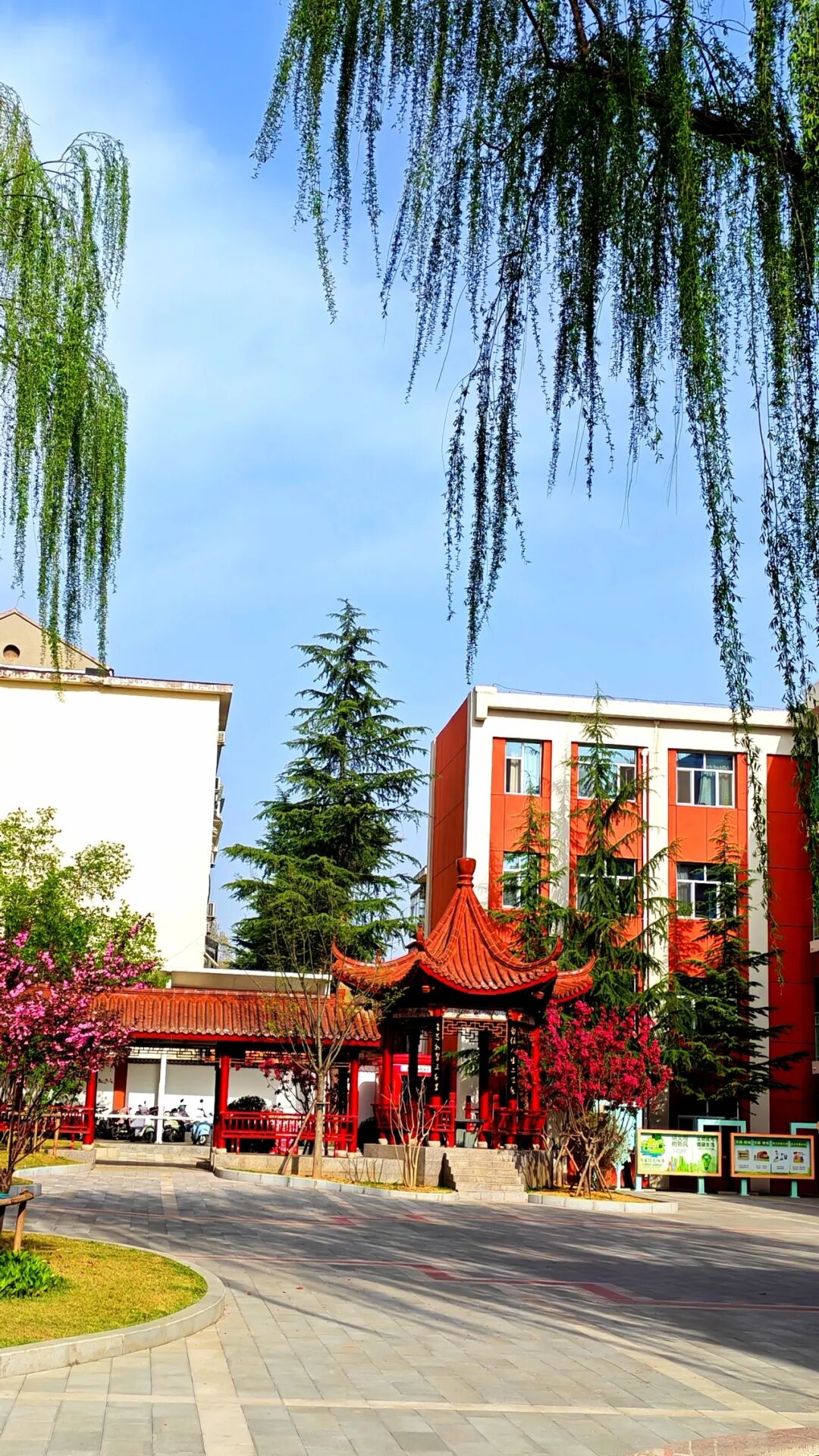 晋城市凤台中学"校园之春"主题活动