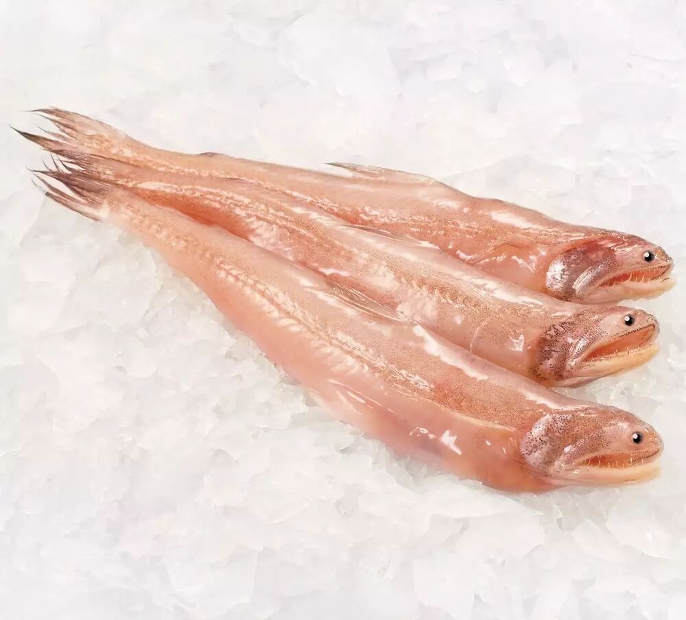 远洋捕捞船都会配有先进的速冻设备,像金枪鱼,要在第一时间去内脏