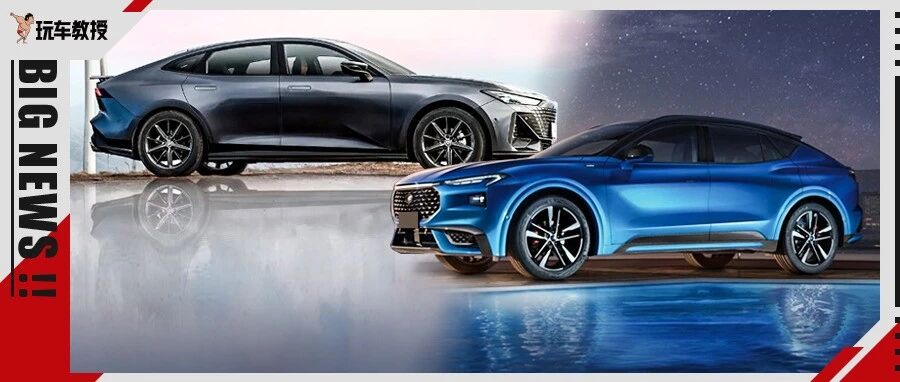 10来万起我开这些新车回村 真的比BBA还能吹！