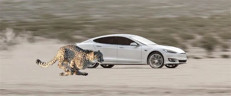 便宜加速器_最便宜的加速器多少钱_便宜又稳定的加速器