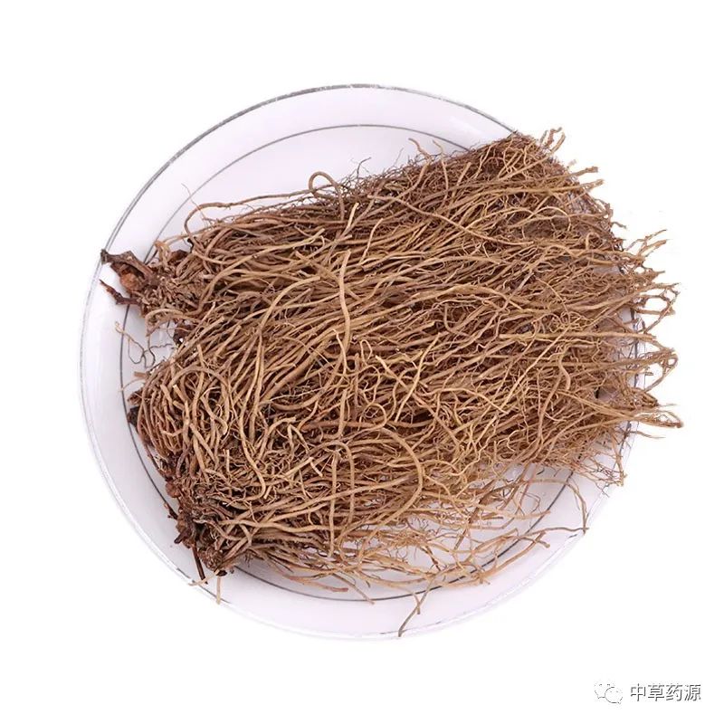 中药鉴赏——细辛（最全实拍图）