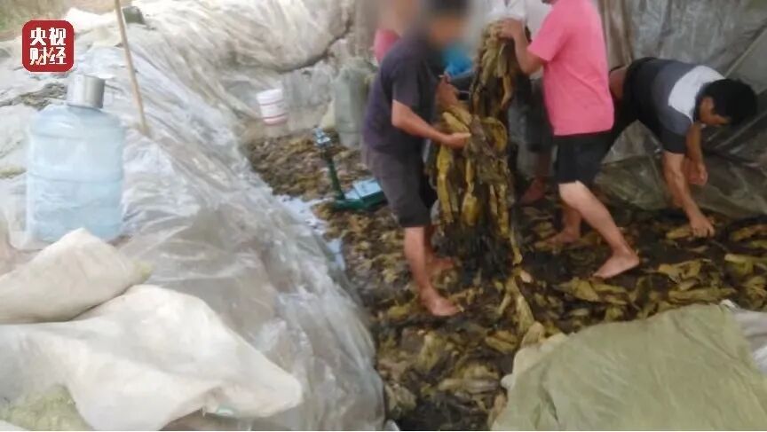 方便面品牌 让人作呕的“土坑酸菜”，是怎么进入品牌方便面的