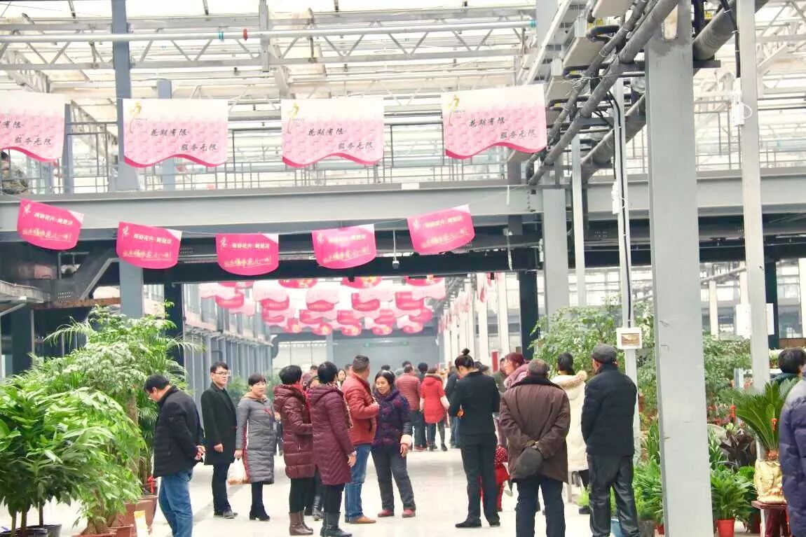 陈砦花卉鹤壁店开业迎宾现场人山人海