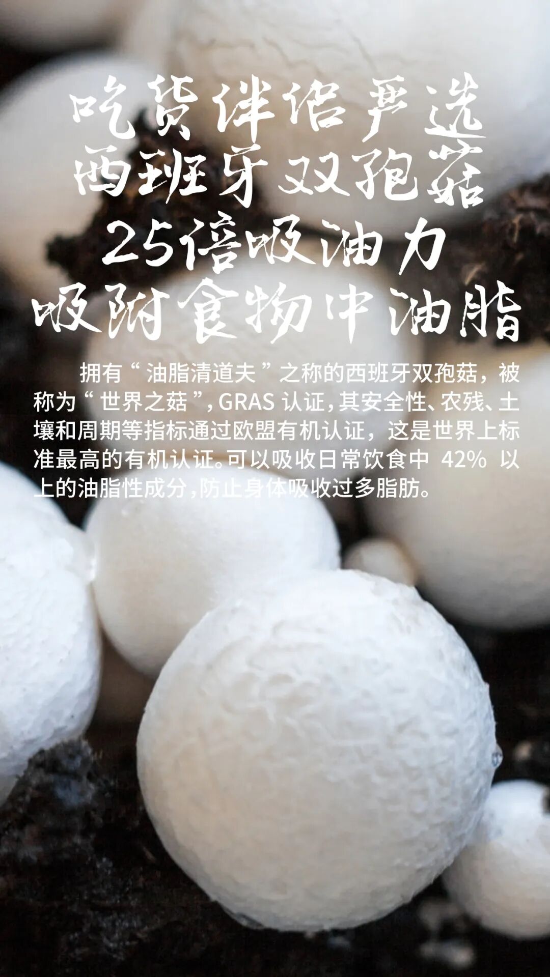 春芝堂#吃货伴侣#能量棒组合上市