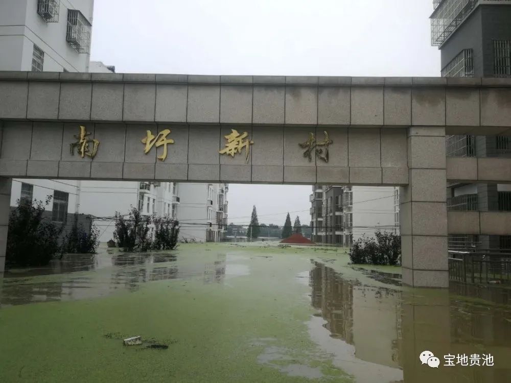 中考成绩查询时间池州_池州市中考成绩查询_池州今年中考哪天查分