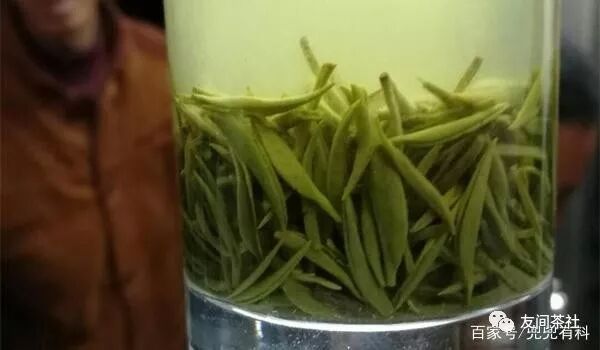 信阳毛尖有名么_信阳毛尖多少钱一斤_信阳毛尖茶馆