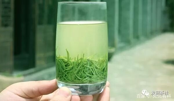 信阳毛尖茶馆_信阳毛尖多少钱一斤_信阳毛尖有名么