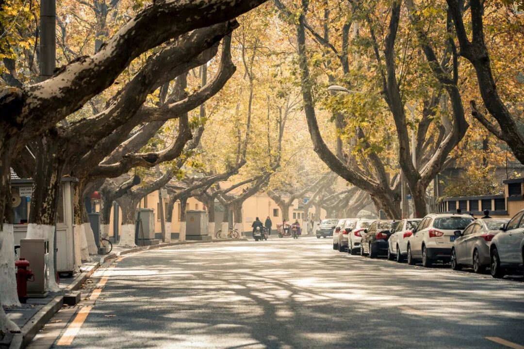 平均房价南京最新消息_南京平均房价2020年_南京平均房价