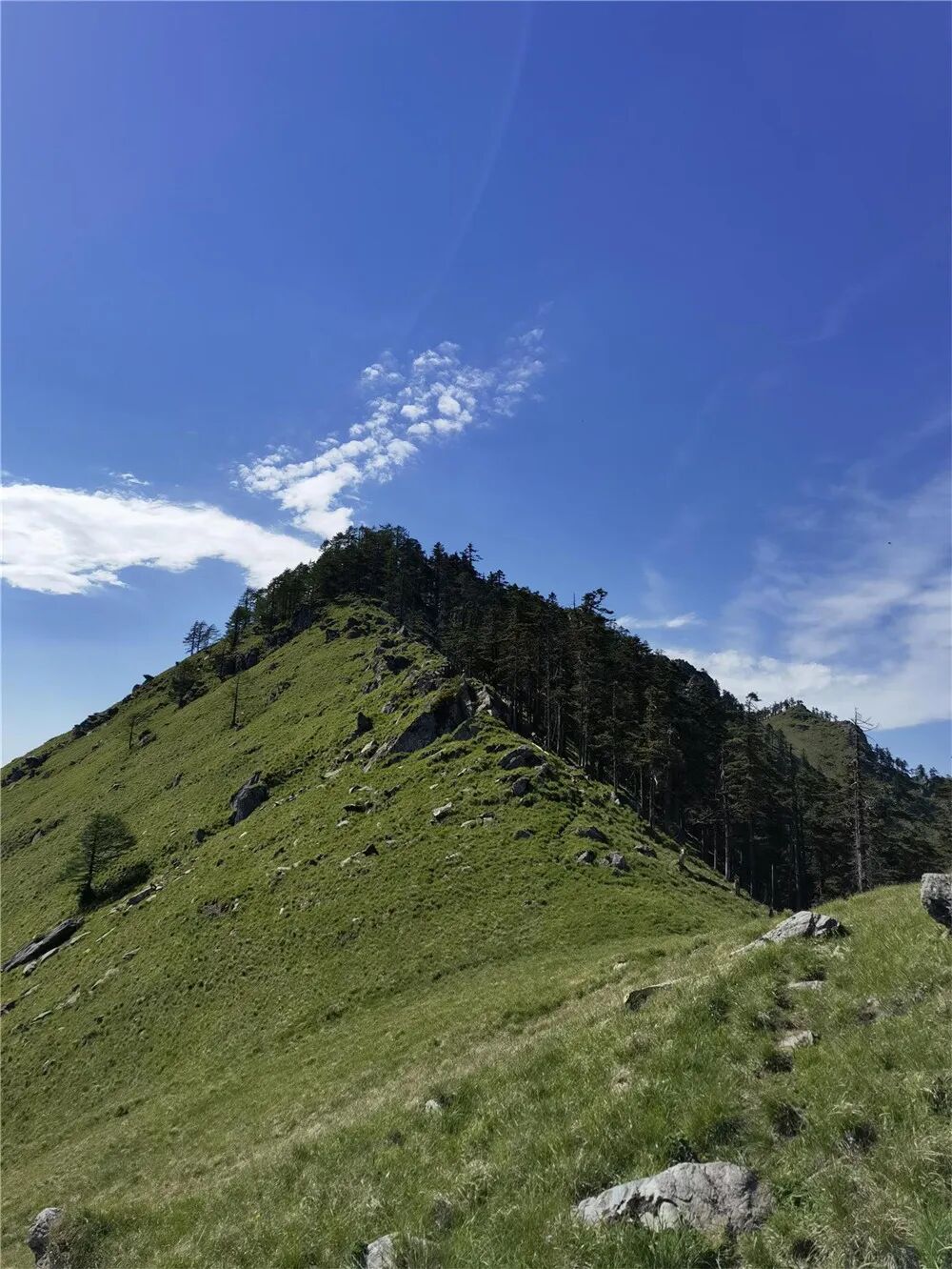 【自驾 | 西光头山】6月20日(周二)探秘秦岭秘境,原始大草甸 - 西安