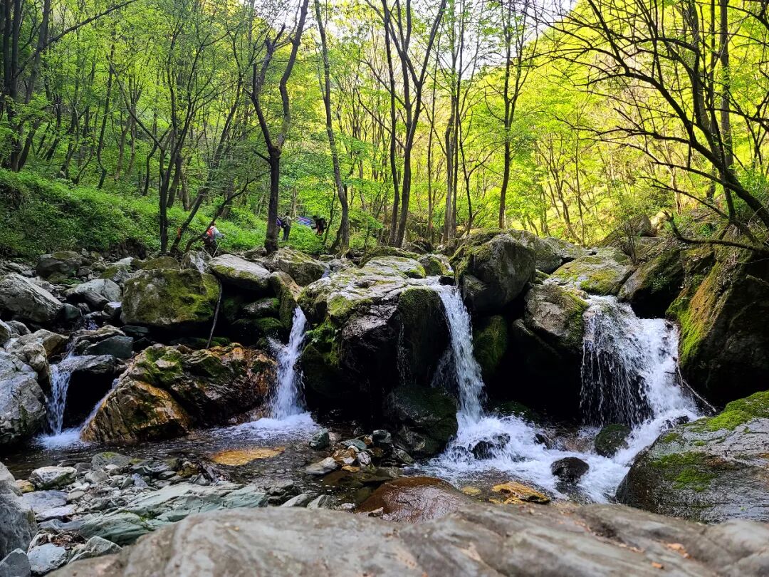 【首阳山】5月2日(周一)秦岭之巅,勇攀秦岭高峰一览众山小