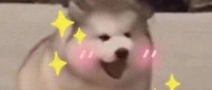 这个东西我赌你们没有。