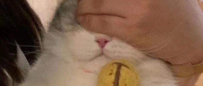 女生懂，这真的比脱内衣还爽。