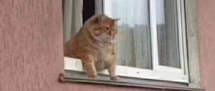 这东西贵的和便宜的真没差。