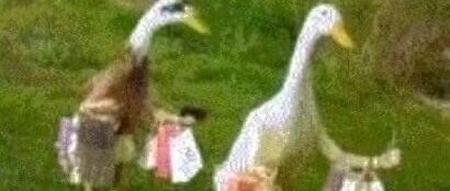 干货｜这样买包算理财了，我俩多年的包包总结。