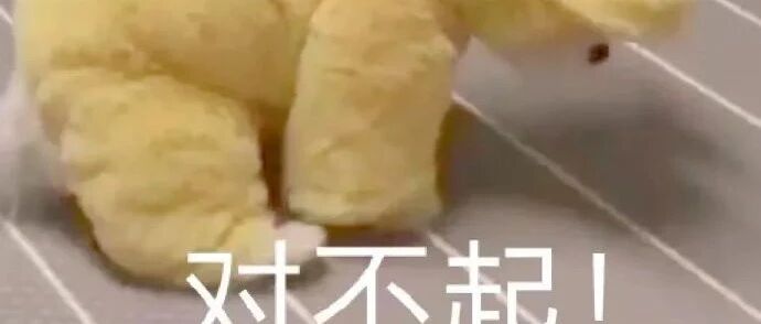 从去年双十一鸽到了现在