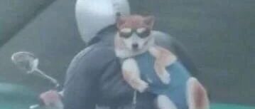 我俩先冲了！！超狠超干货来了。