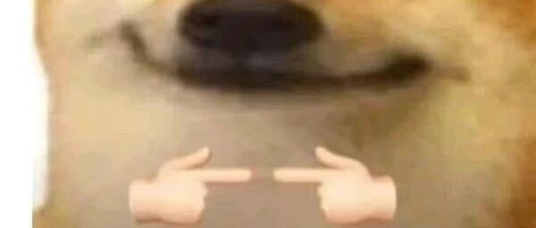 别嫌弃它们包装不好看，真香