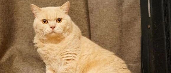 怪不得总觉得水里有股猫屎味，总算找到原因了