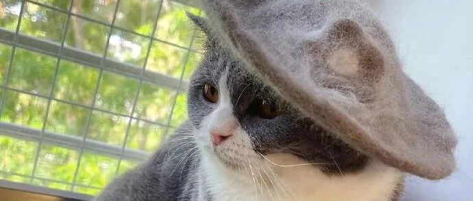 铲屎官用猫咪的毛发做了纯天然鞋帽