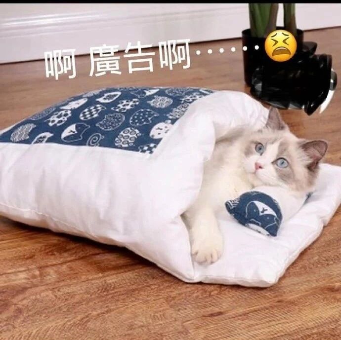 铲屎官看广告给猫咪买了个睡袋，结果……