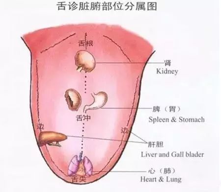 注意！這幾種舌苔預示疾病！ 健康 第4張