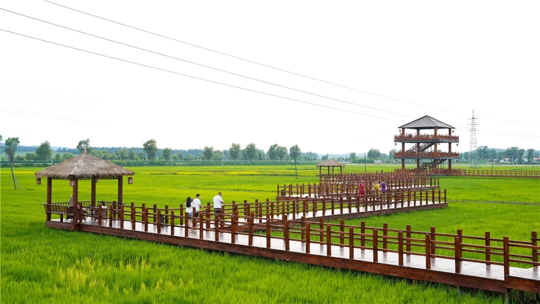 促进乡村旅游高质量发展相约东丰感受自然之美