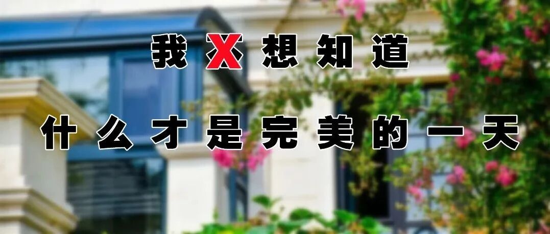 安排一场家庭Party？这可能是我看过最完美的方案！