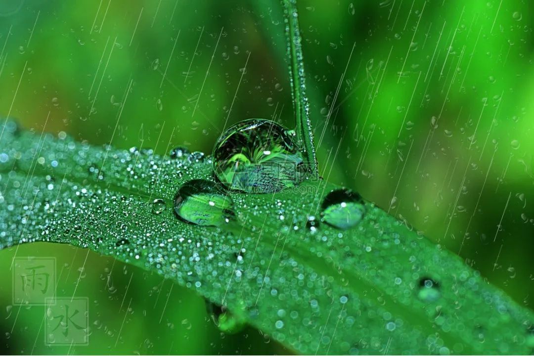 毛毛细雨的情景的图片图片