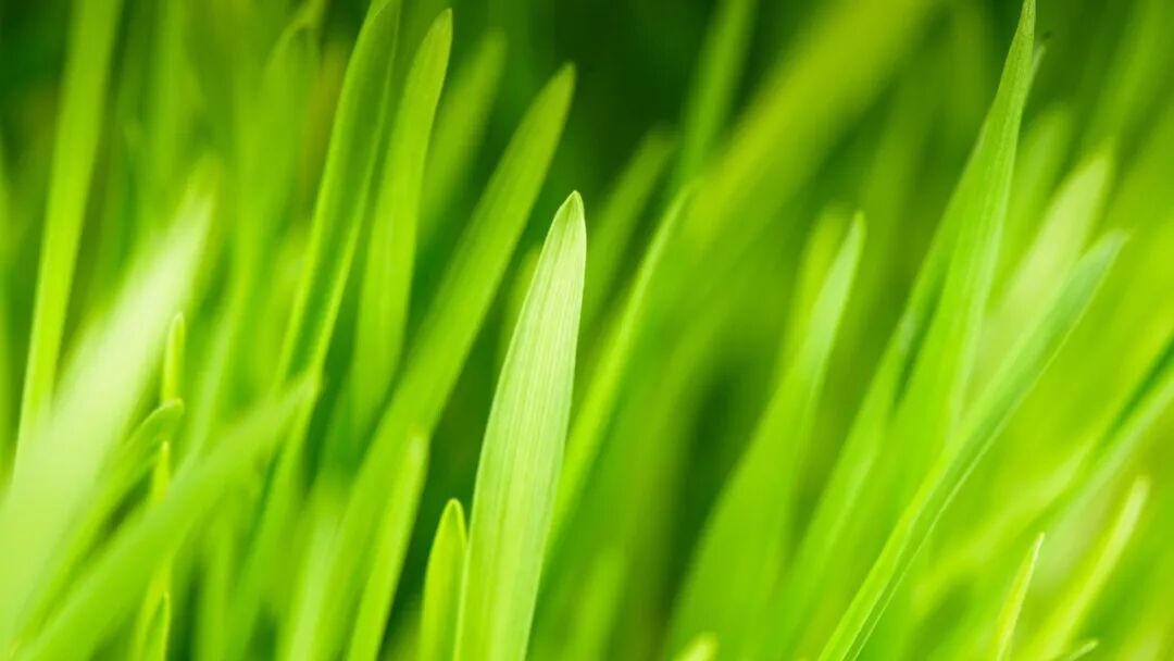 电脑壁纸｜超清8K无水印电脑桌面壁纸风景壁纸50张