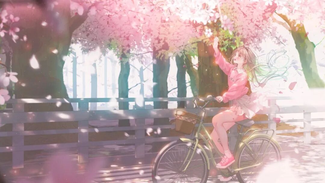 wallpaper电脑壁纸｜超清8K无水印电脑桌面壁纸80张