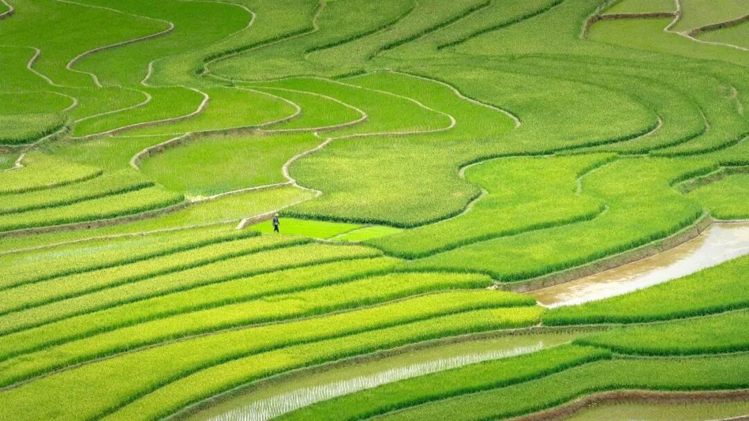 电脑壁纸｜超清8K无水印电脑桌面壁纸风景壁纸50张