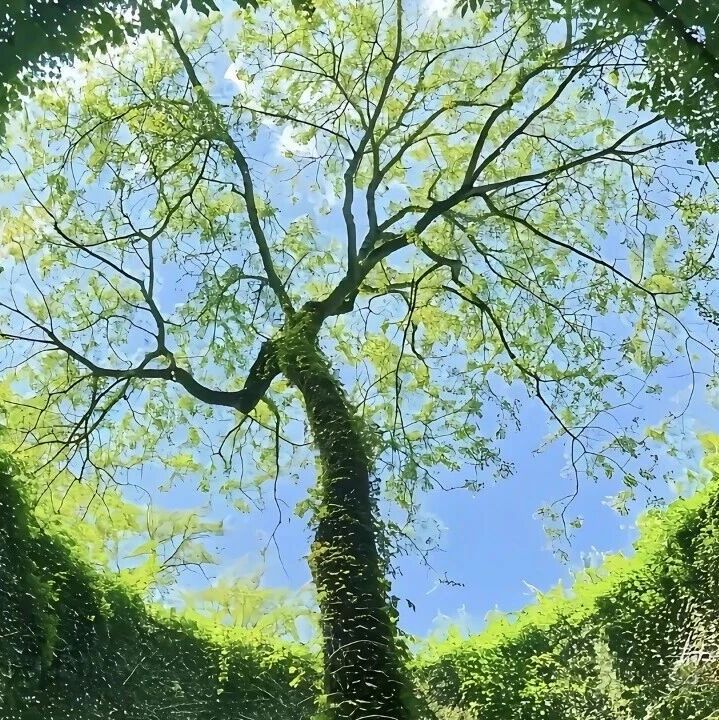 电脑壁纸｜电脑壁纸超清8k原图99张