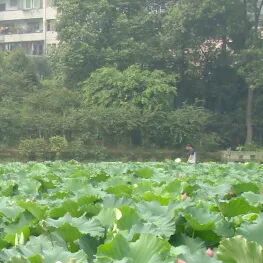 手术人工鼻是什么【围观】阿姨拾物不昧，失主却不领情？_https://www.jmylbn.com_新闻资讯_第2张