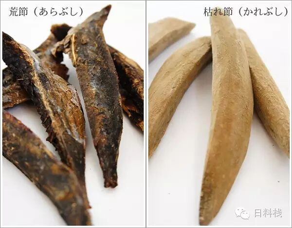 鰹魚 著名的鰹魚表示拒絕標題黨 丸食堂 微文庫