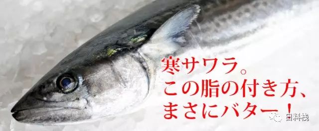 這隻叫鰆的魚 最好吃的季節可能不是春天 丸食堂 微文庫