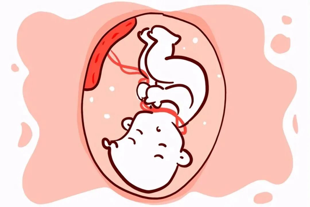 男翻女概率_为什么说男翻女几率大_4个的原因男翻女