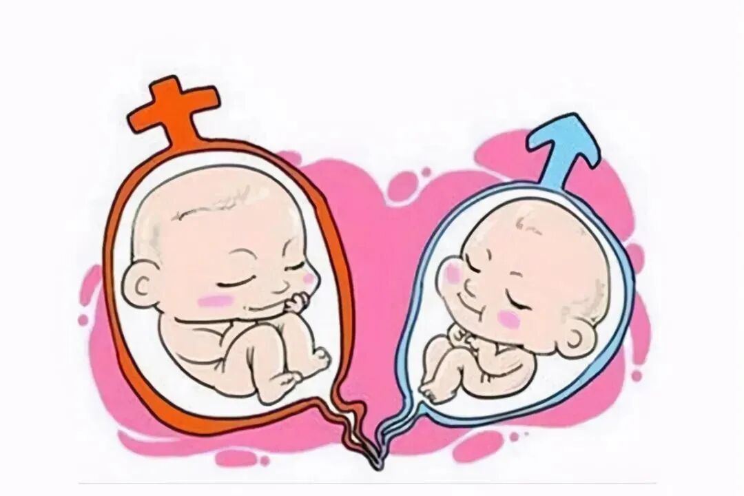 男翻女概率_4个的原因男翻女_为什么说男翻女几率大